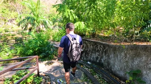Walking Through Forest Bridge in Chonburi 库存影片 328205233