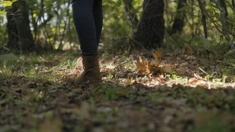 Walking Through the Forest Close-Up of Boots and Leaves 库存影片 331816826