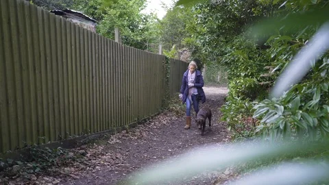 Walking through the forest with dog Stock Footage 101285413