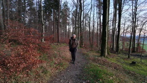 Walking through the forest with a drone in front of me. 21Sek. Video stock 321593633