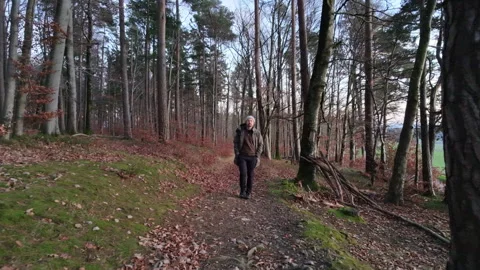 Walking through the forest with a drone in front of me. 22Sek. Stock Footage 321593707