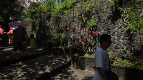 WALKING THROUGH FOREST Video stock 27330827