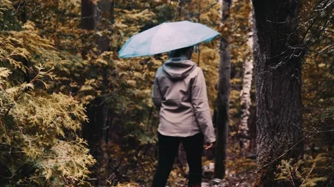 Walking through the forest Stock Footage 63223845