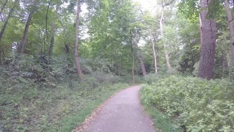 Walking through the forest Stock Footage 83622142