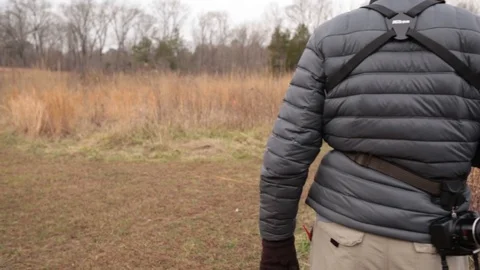 Walking through the forest Video stock 104975505