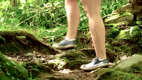 Walking through the forest Stock Footage 134899886