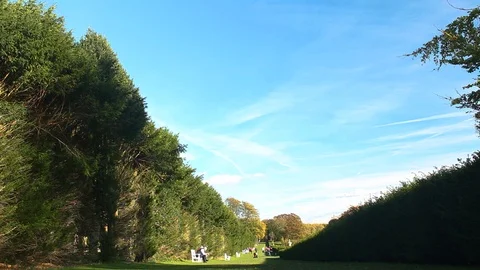 Walking through a forest on a footpath 動画素材 104196430