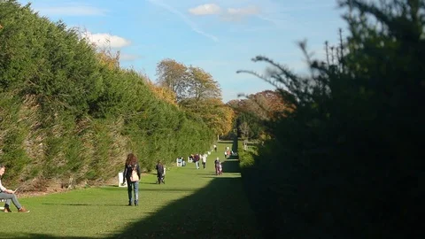 Walking through a forest on a footpath 스톡 동영상 104196447