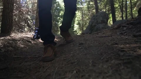 Walking through Forest with Guitar on Back Stock Footage 48667872