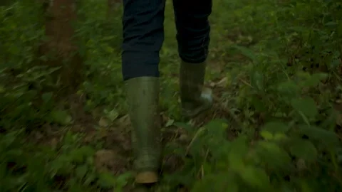 Walking through forest in Indonesia Stock Footage 210223800