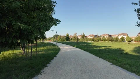 Walking through a forest or a park with green leaves Stock Footage 314522050