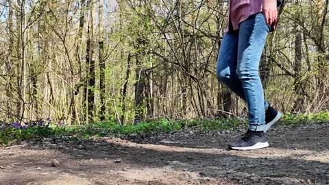 Walking Through a Forest Path Video stock 307315923