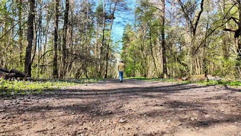 Walking Through a Forest Path Video stock 307315927
