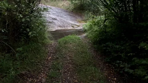 Walking Through Forest Path By River In Mountain. Forest And River In Mountain. Stock Footage 150403380