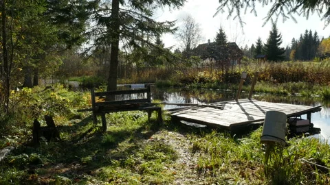 Walking through forest path to small pond in sunny day, POV Stock Footage 97707022