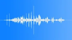 Walking by through forestSound Effect
