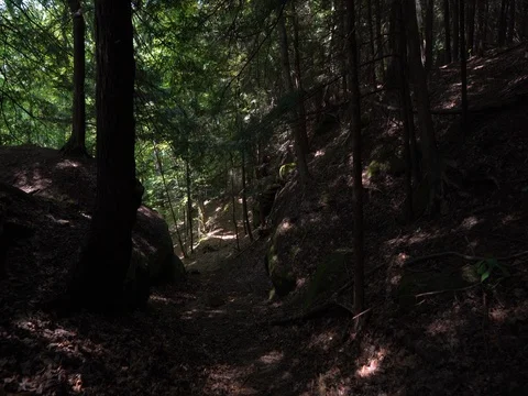 Walking through forest, stabilized shot passing rocks Stock Footage 82638736