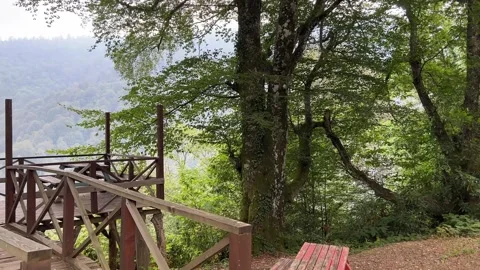 Walking Through Forest Toward Scenic Wooden Observation Deck in Kartepe Turkey Stock Footage 342330268