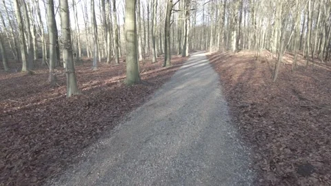Walking through a forrest on a winter afternoon Stock Footage 169106578