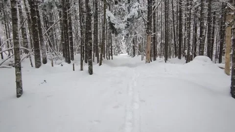 Walking through fresh snow in the woods Stock Footage 330090157