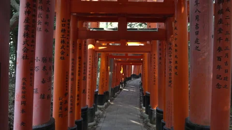 Walking through the Fushimi Inari Shrines - Torii Gate Kyoto - female tourist Vídeo Stock 242599272