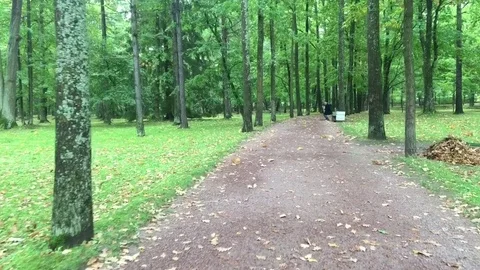 Walking through in garden Vídeo Stock 81585611