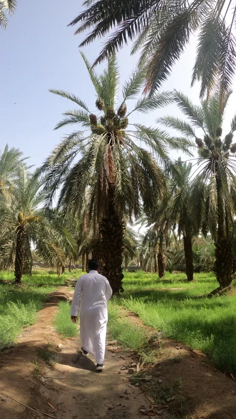 Walking Through Garden of Salman Al Farsi Vídeo Stock 338266751