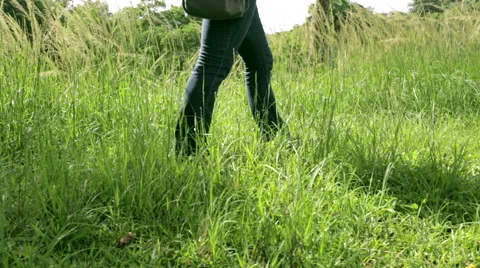Walking through grass Mid Long Shot 스톡 동영상 55693451