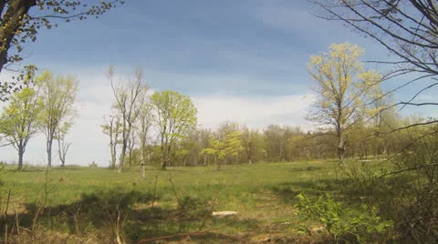 Walking Through Grassland Video stock 23120342