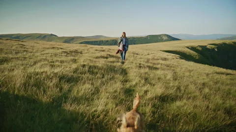 Walking through a grassy field with a dog on a sunny day in a mountainous area Stock Footage 345636328