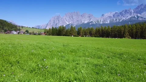 Walking through a green meadow with Dolomites mountain view in Italy Video stock 342511561