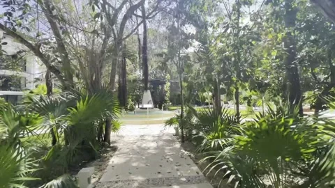 Walking through the green paradise in Tulum Pov Stock Footage 172139731
