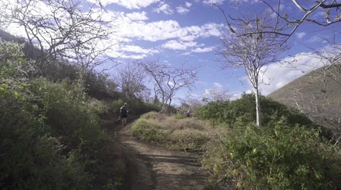 Walking Through Hills Stock Footage 58356521