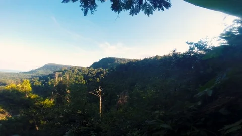 Walking through the jungle of Cambodia Stock Footage 100785720