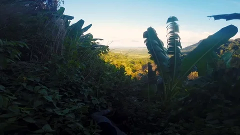 Walking through the jungle of Cambodia Stock Footage 100787104