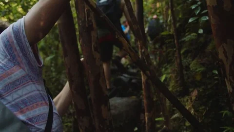 Walking Through Jungle Stock Footage 75251595