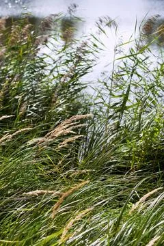 Walking through the landscape in Summer Stock Photos