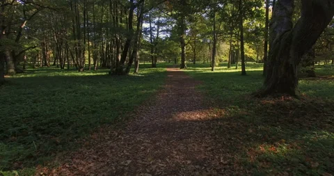 Walking through the leafy park along by the trailway. Stock Footage 88179891