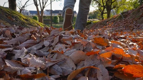 Walking Through Leaves Video stock 112485322