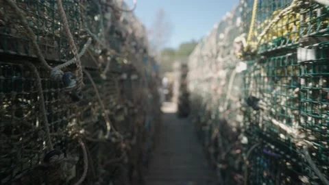 Walking through lobster traps Stock Footage 165692598