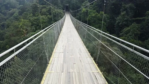 Walking Through Longest Suspension Bridge - Point of View Camera Stock Footage 150427449