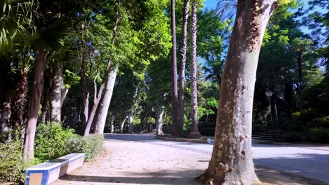 Walking Through the Lush Gardens of Parque de María Luisa, Seville 스톡 동영상 322147551