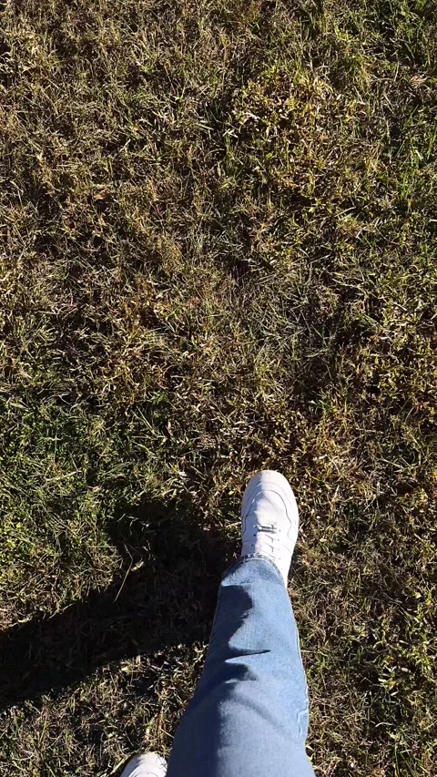 Walking Through Lush Grass on a Sunny Day - POV Stock Footage 295817537
