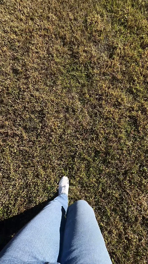 Walking Through Lush Grass on a Sunny Day - POV Stock Footage 295817559