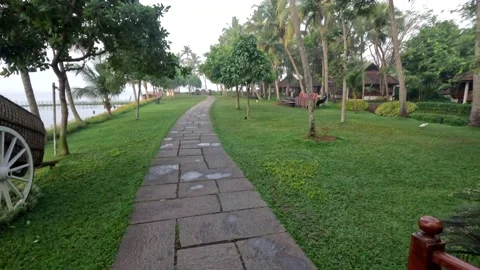 Walking through a lush green lawn Stock Footage 231663806