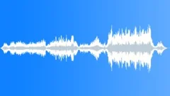 Walking Through The Magic Forest Stock Music