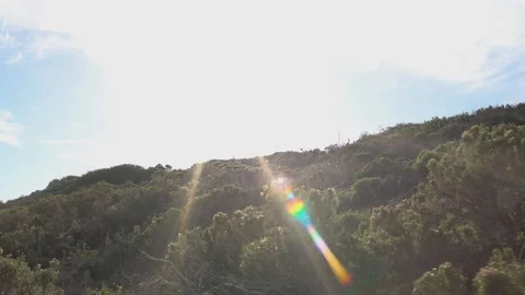 Walking through malibu nature area looking up at sun, 4k Stock Footage 103437155