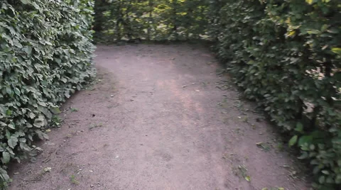Walking through maze Stock-Footage 30363812