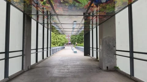 Walking through modern glass corridor with colorful ceiling art Stock Footage 339118045