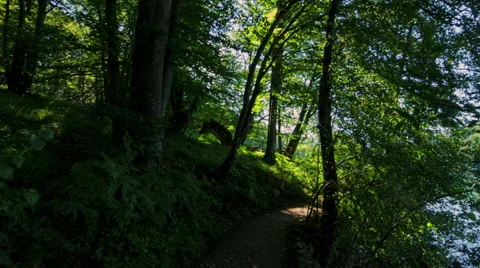 Walking through mountain forest near to the lake, steady cam shot Stockbeeldmateriaal 68648718